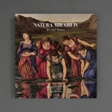 Natura mirabilis : art and nature - Manfredi Gioacchini