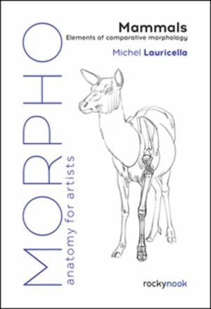 Morpho : Mammals - Michel Lauricella
