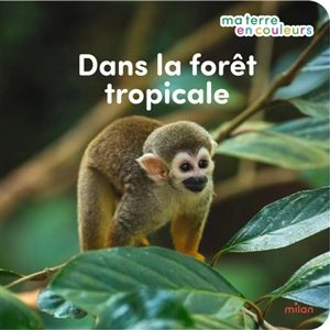 Dans la forêt tropicale - Stéphanie Redoulès