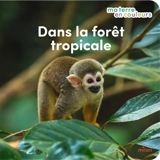Dans la forêt tropicale - Stéphanie Redoulès
