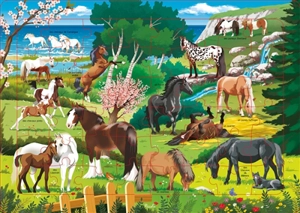 Les chevaux : 48 pièces