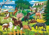 Les chevaux : 48 pièces