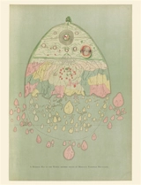Carte birmane du monde. A Burmese map of the world - Richard Carnac Temple