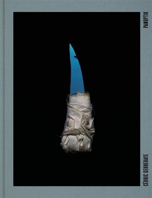 Panoptik - Cédric Gerbehaye