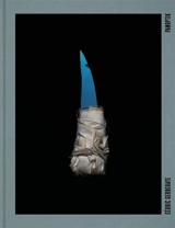 Panoptik - Cédric Gerbehaye