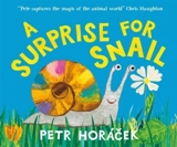A Surprise for Snail - Horácek, Petr
