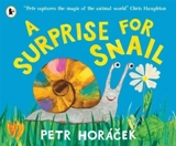 A Surprise for Snail - Horácek, Petr