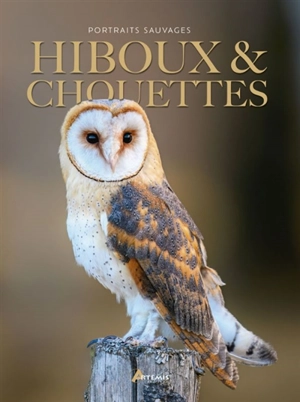 Hiboux & chouettes - Michel Cuisin