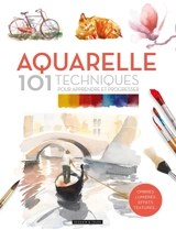 Aquarelle : 101 techniques pour apprendre et progresser : lavis, ombre, lumière, effets, textures - David Sanmiguel