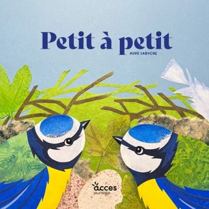 Petit à petit - Aude Laroche