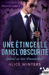 Une étincelle dans l'obscurité (parmi un tas d'emmerdes) : Felix et Lane, T2 - Alice Winters