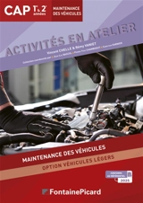 ACTIVITES EN ATELIER CAP MV - Vincent Chelle
