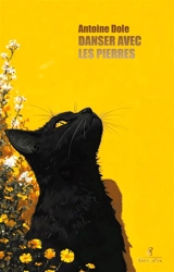 Danser avec les pierres - Antoine Dole