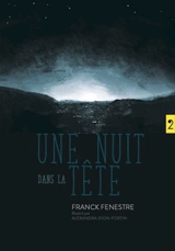 Une nuit dans la tête - Franck Fenestre