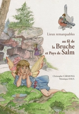 Lieux remarquables au fil de la Bruche et Pays de Salm - Christophe Carmona