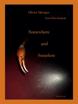 Somewhere and somehow - Olivier Metzger