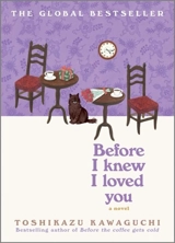 Before I Knew I loved You Vol. 6 - Toshikazu Kawaguchi