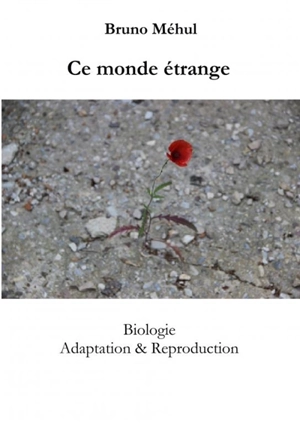Ce monde étrange - Bruno Méhul