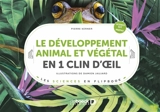 Le développement animal et végétal en 1 clin d'oeil : licence SVT, prépas - Pierre Kerner