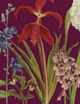 Jardin : galerie de botanique : carnet