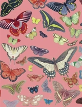 Papillons : galerie d'entomologie : carnet