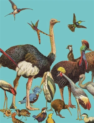 Oiseaux : leçons de choses : carnet