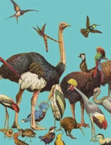 Oiseaux : leçons de choses : carnet
