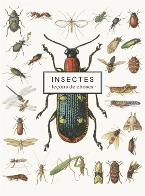 Insectes : leçons de choses : carnet
