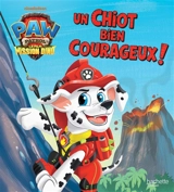 Paw Patrol, le film : mission dino : un chiot bien courageux ! - Nickelodeon
