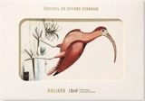 Recueil de divers oiseaux : carnet - Mark Catesby
