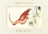 Recueil de divers oiseaux - Mark Catesby