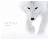 Arctique - Vincent Munier