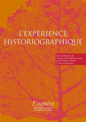 L'expérience historiographique : autour de Jacques Revel