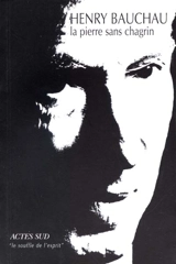 La pierre sans chagrin - Henry Bauchau
