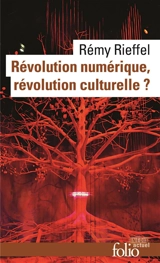 Révolution numérique, révolution culturelle ? - Rémy Rieffel
