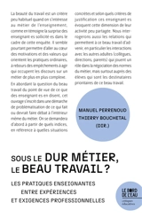 Sous le dur métier, le beau travail ? : les pratiques enseignantes : entre expériences et exigences professionnelles