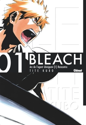 Bleach. Vol. 1. The death and the strawberry - Taito Kubo
