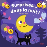 Surprises... dans la nuit ! - Hector Dexet