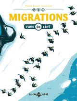 Migrations vues du ciel - Stéphanie Redoulès