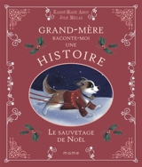 Le sauvetage de Noël - Karine-Marie Amiot