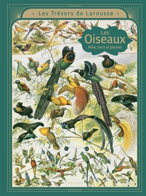 Les oiseaux : ailes, becs et plumes - Emmanuelle Kecir-Lepetit