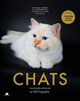 Chats : les plus belles photos par Le Muzographe - Nathalie Tiennot