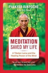 Meditation Saved My Life - Phakyab
