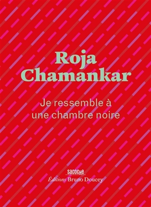 Je ressemble à une chambre noire - Roja Chamankar