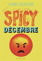 Spicy décembre - Claire Castillon