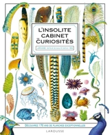 Insolite cabinet de curiosité