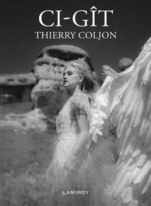 Ci-gît - Thierry Coljon