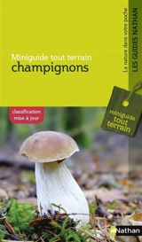 Champignons - Helga Hofmann
