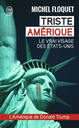 Triste Amérique : le vrai visage des Etats-Unis - Michel Floquet