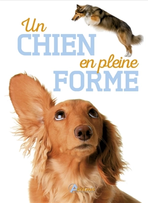 Un chien en pleine forme - Alexandre Balzer